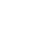 logo_ok_pre1